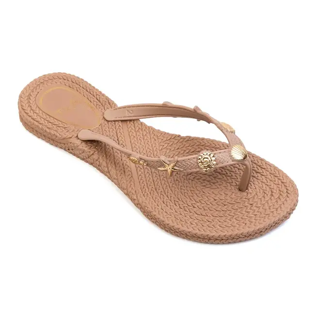 Chinelo Dedo Terra e Agua Taupe Feminino