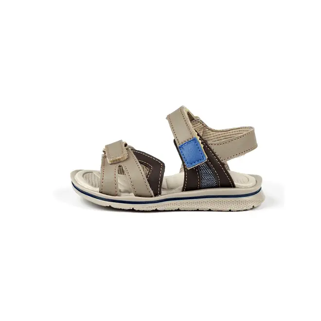 Papete Infantil Finobel - Café/Azul