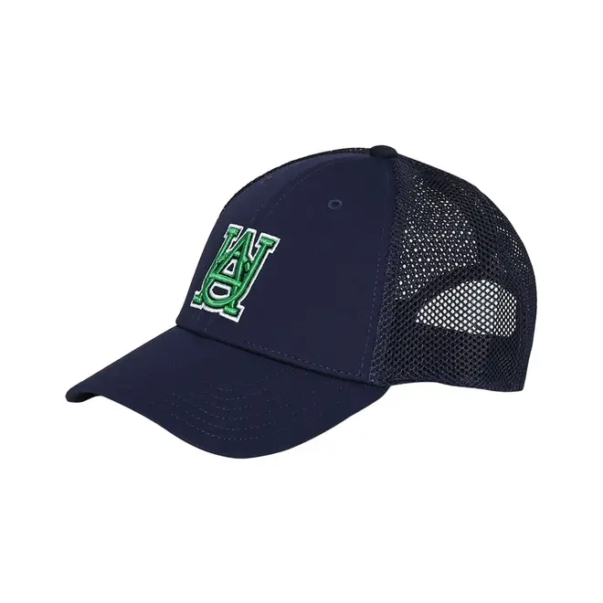 Boné Under Armour Blitzing Trucker