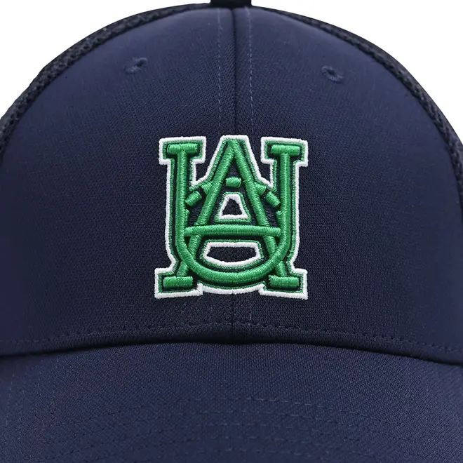Boné Under Armour Blitzing Trucker
