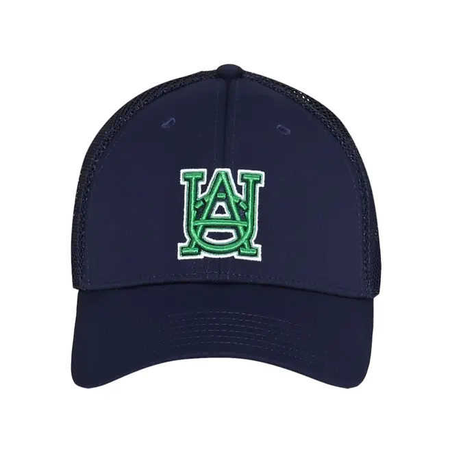 Boné Under Armour Blitzing Trucker