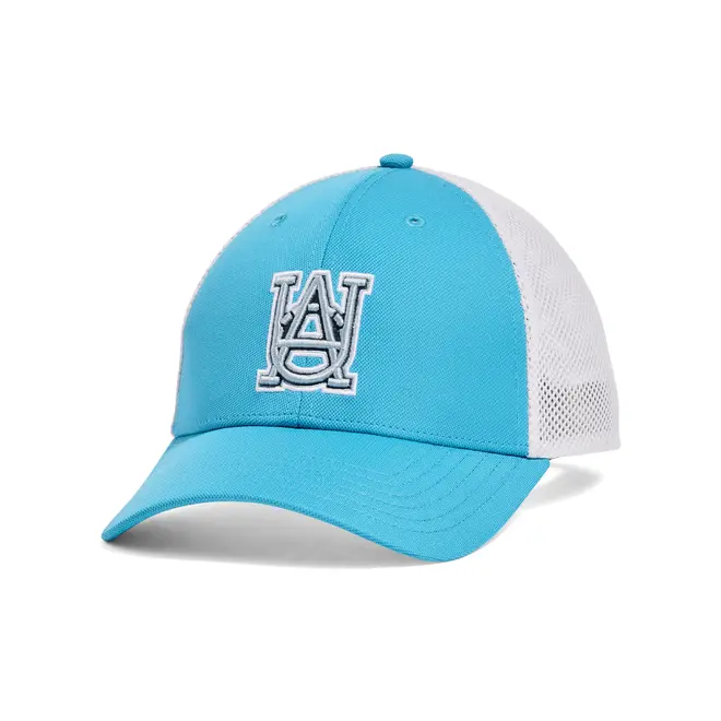 Boné Under Armour Blitzing Trucker