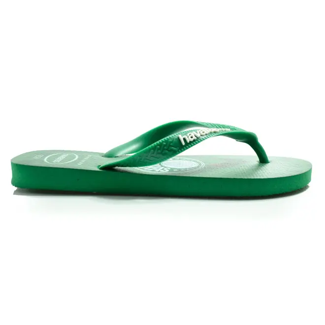 Chinelo Masculino Havaianas Palmeiras Verde 4148309 AD