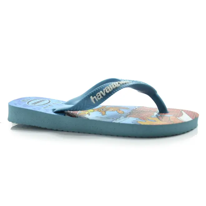 Chinelo Infantil Havaianas Top Warner Azul Azul 4150291