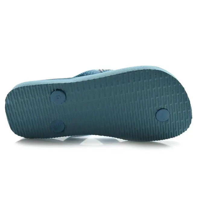 Chinelo Infantil Havaianas Top Warner Azul Azul 4150291
