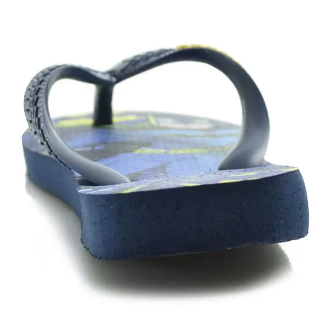 Chinelo Infantil Havaianas Top Warner Azul Azul 4150291
