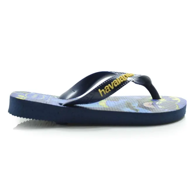 Chinelo Infantil Havaianas Top Warner Azul Azul 4150291