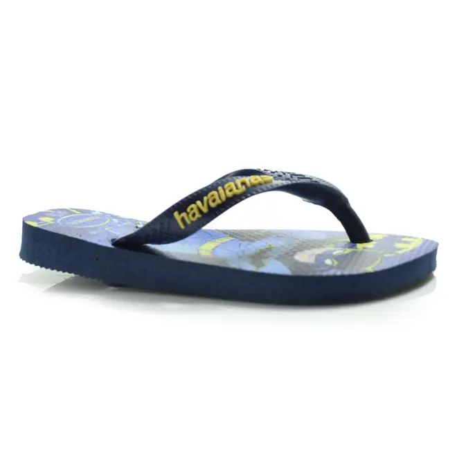 Chinelo Infantil Havaianas Top Warner Azul Azul 4150291