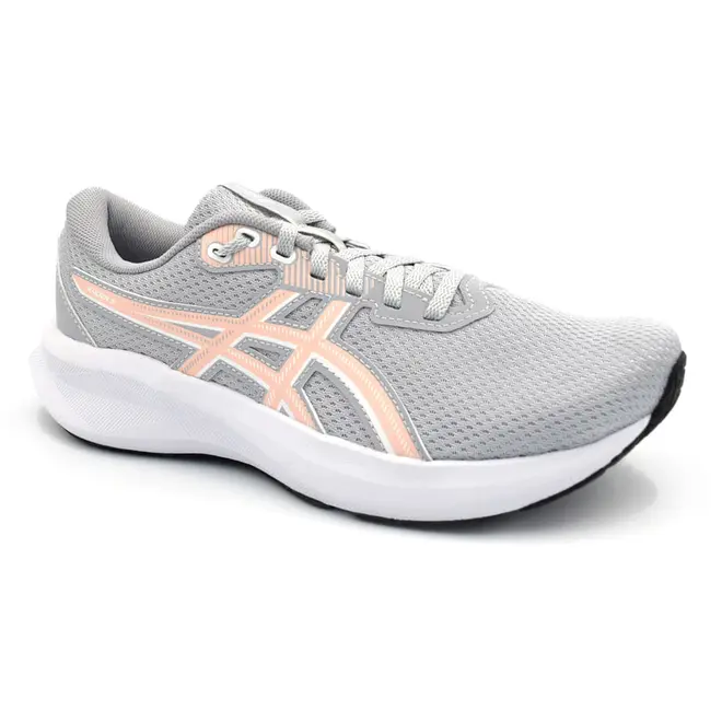 Tênis Feminino Asics Raiden 5 Cinza 1012C048.020