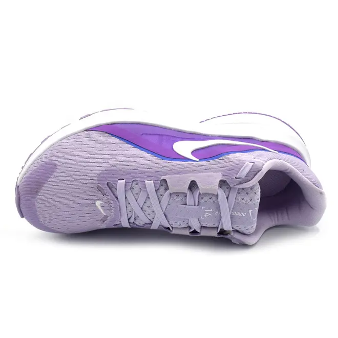 Tênis Feminino Nike Downshifter 14 Roxo IB1899-500