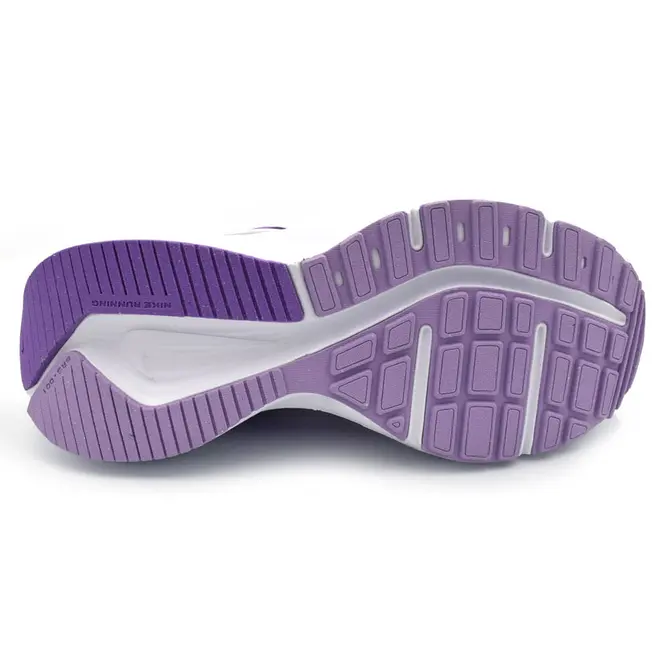 Tênis Feminino Nike Downshifter 14 Roxo IB1899-500