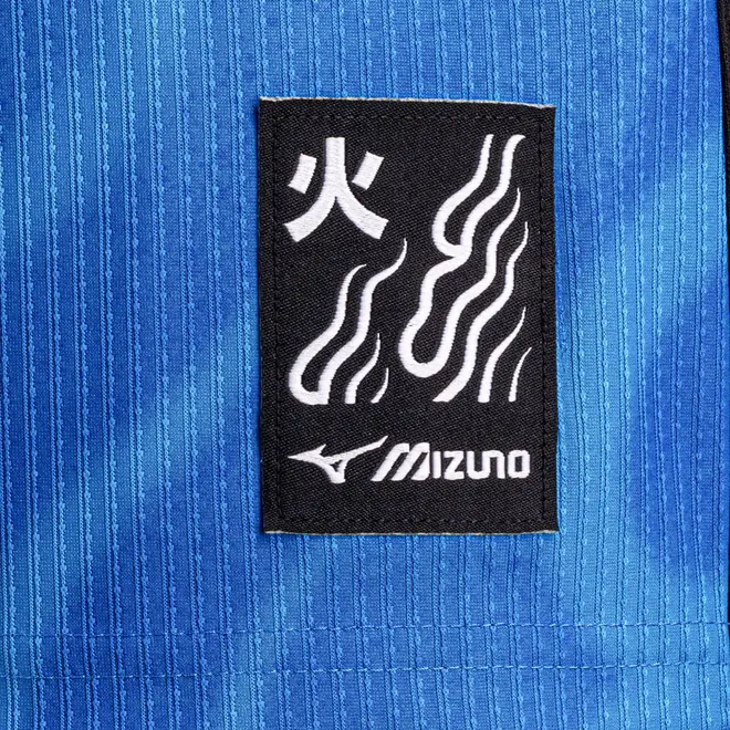 Camisa Away de Goleiro Mizuno x Botafogo Masculina