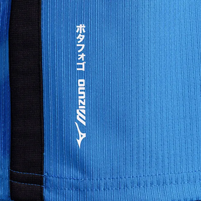 Camisa Away de Goleiro Mizuno x Botafogo Masculina