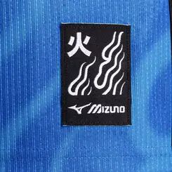 Camisa Away de Goleiro Mizuno x Botafogo Masculina