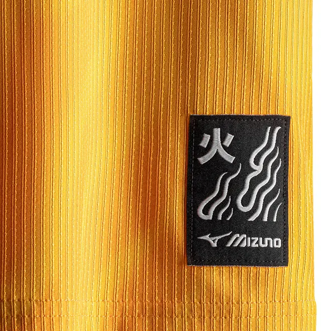 Camisa Home de Goleiro Mizuno x Botafogo Masculina