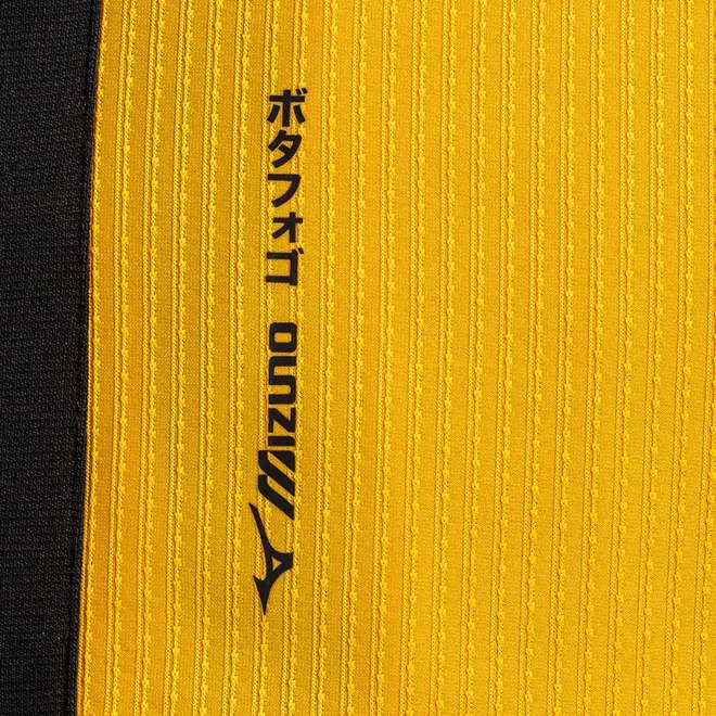 Camisa Home de Goleiro Mizuno x Botafogo Masculina