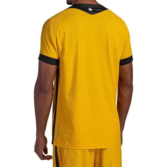 Camisa Home de Goleiro Mizuno x Botafogo Masculina