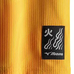 Camisa Home de Goleiro Mizuno x Botafogo Masculina
