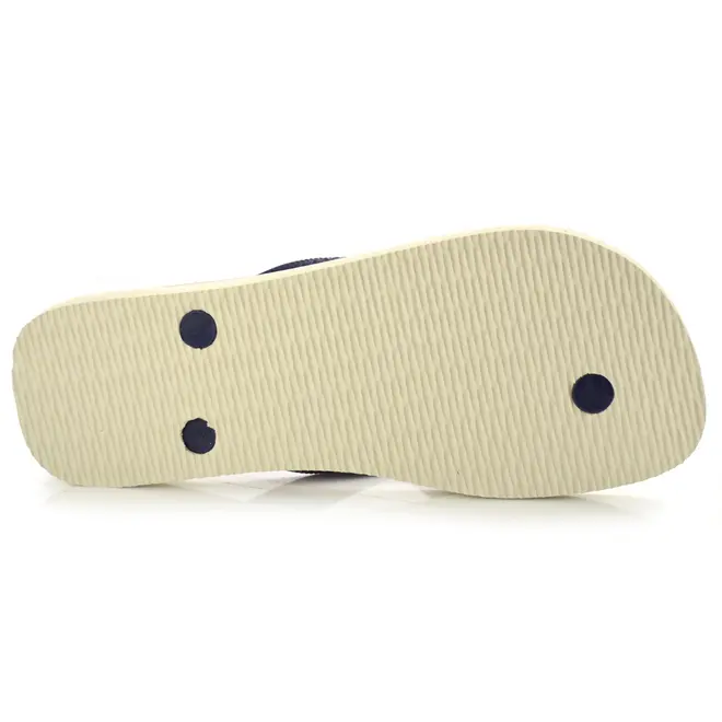 Chinelo Havaianas Top Nautic Bege 4137126
