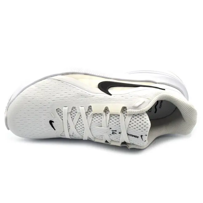 Tênis Masculino Nike Downshifter 14 Branco IB1895-101