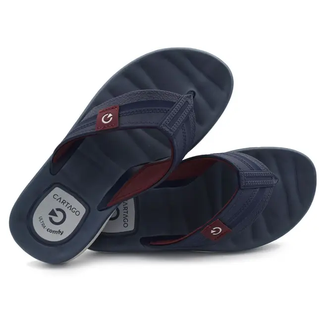 Chinelo Masculino Cartago Sintra II Cinza 12578