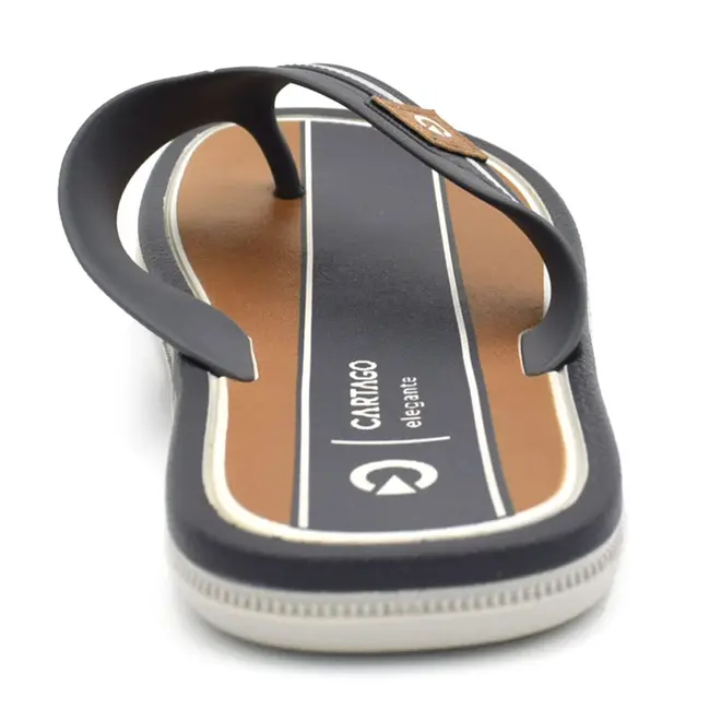 Chinelo Masculino Cartago Maiorca III Azul 12571
