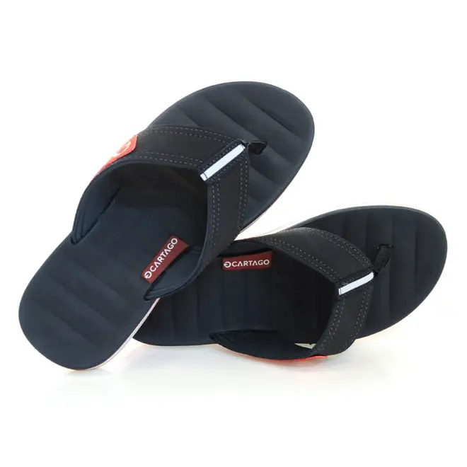 Chinelo Masculino Cartago Malaga Azul 10954