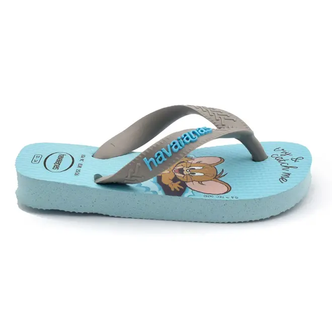 Chinelo Infantil Havaianas Top Warner Azul Azul 4150291