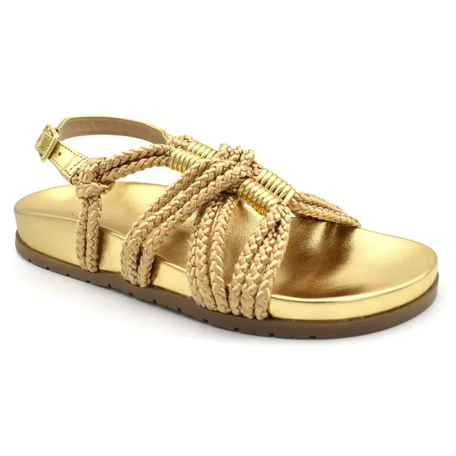 Papete Feminina Suzzara Dourado 3800-12586