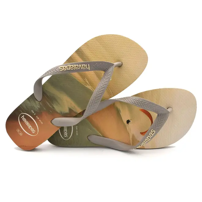 Chinelo Masculino Havaianas Top Surfer I Bege 4149971