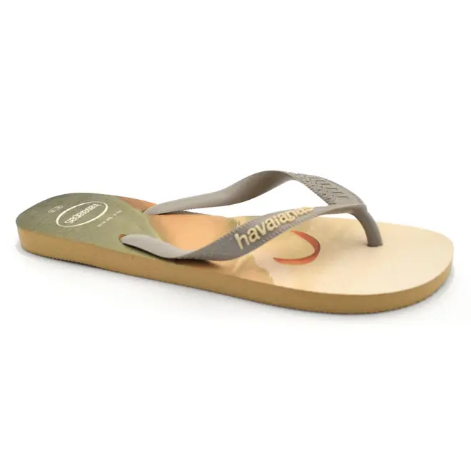 Chinelo Masculino Havaianas Top Surfer I Bege 4149971