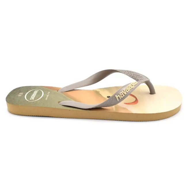 Chinelo Masculino Havaianas Top Surfer I Bege 4149971