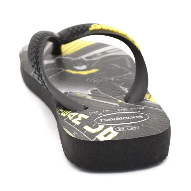 Chinelo Infantil Havaianas Top Warner Azul Preto 4150291