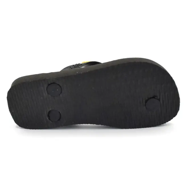 Chinelo Infantil Havaianas Top Warner Azul Preto 4150291