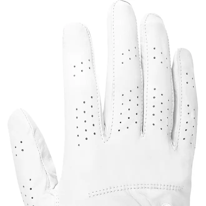 Luva de Golfe Masculino Under Armour Spieth Tour Glove
