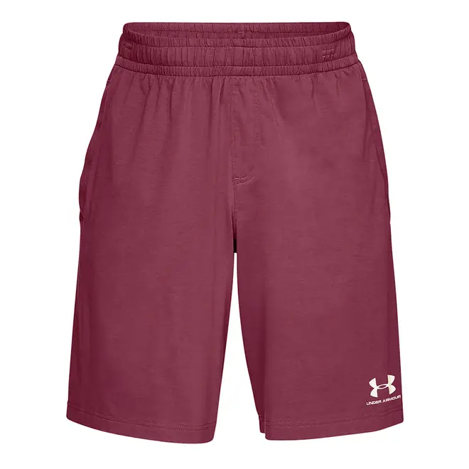 Shorts de Treino Masculino Under Armour Sportstyle
