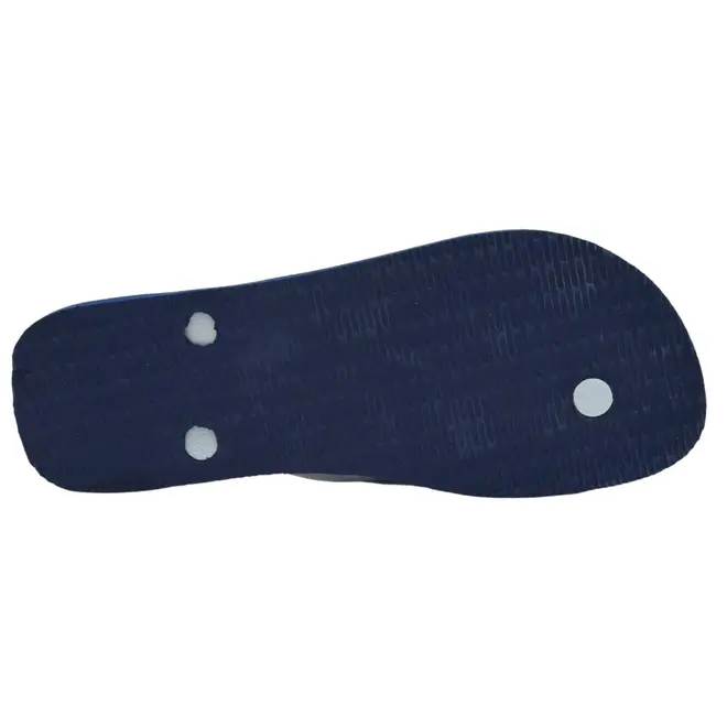 Chinelo Havaianas Top Nautical Masculino Marinho