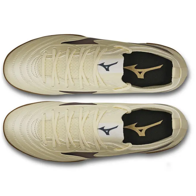 Chuteira Futsal Mizuno Regent IN