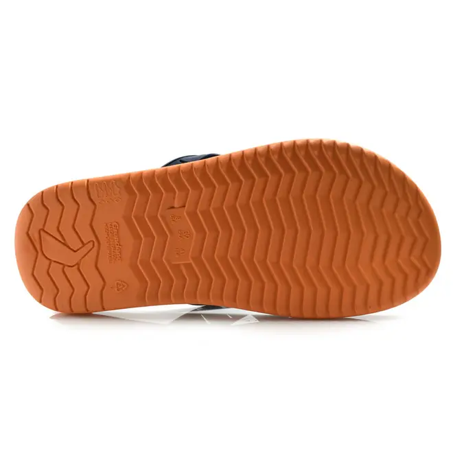 Chinelo Masculino Rider RW II Azul 12480