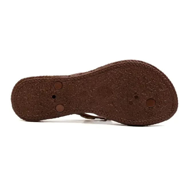 Chinelo Dedo Terra e Agua Bronze Feminino