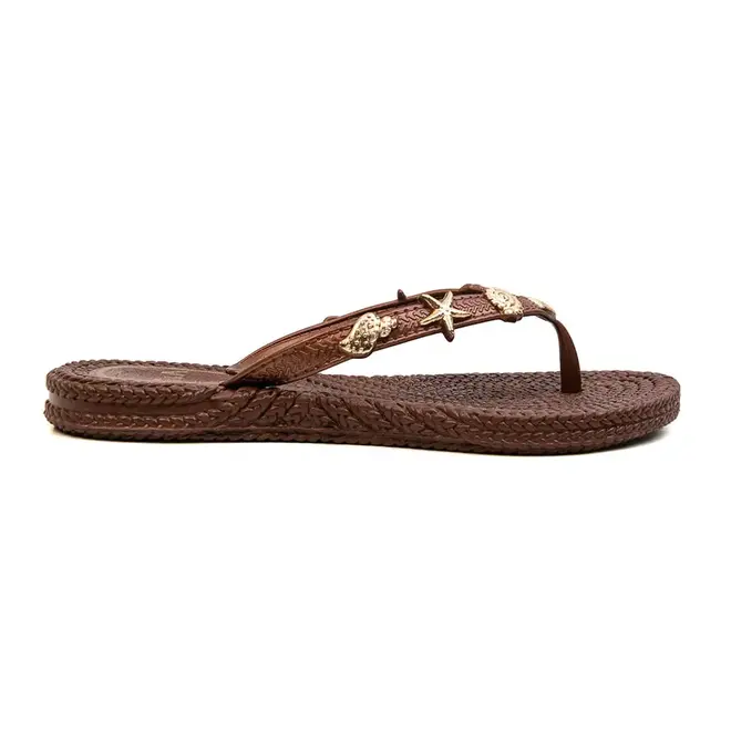 Chinelo Dedo Terra e Agua Bronze Feminino