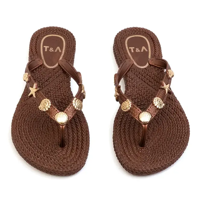 Chinelo Dedo Terra e Agua Bronze Feminino