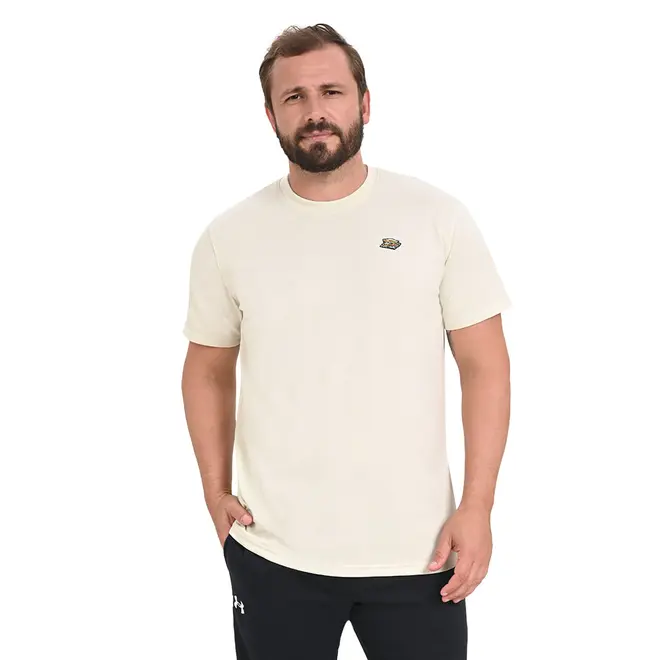 Camiseta Masculina Under Armour Playoff LE