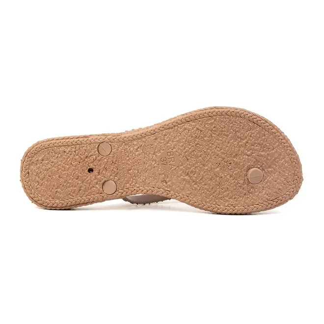 Chinelo Dedo Terra e Água Taupe Feminino